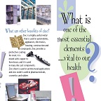 What is one of the most essential elements vital to our health ?
